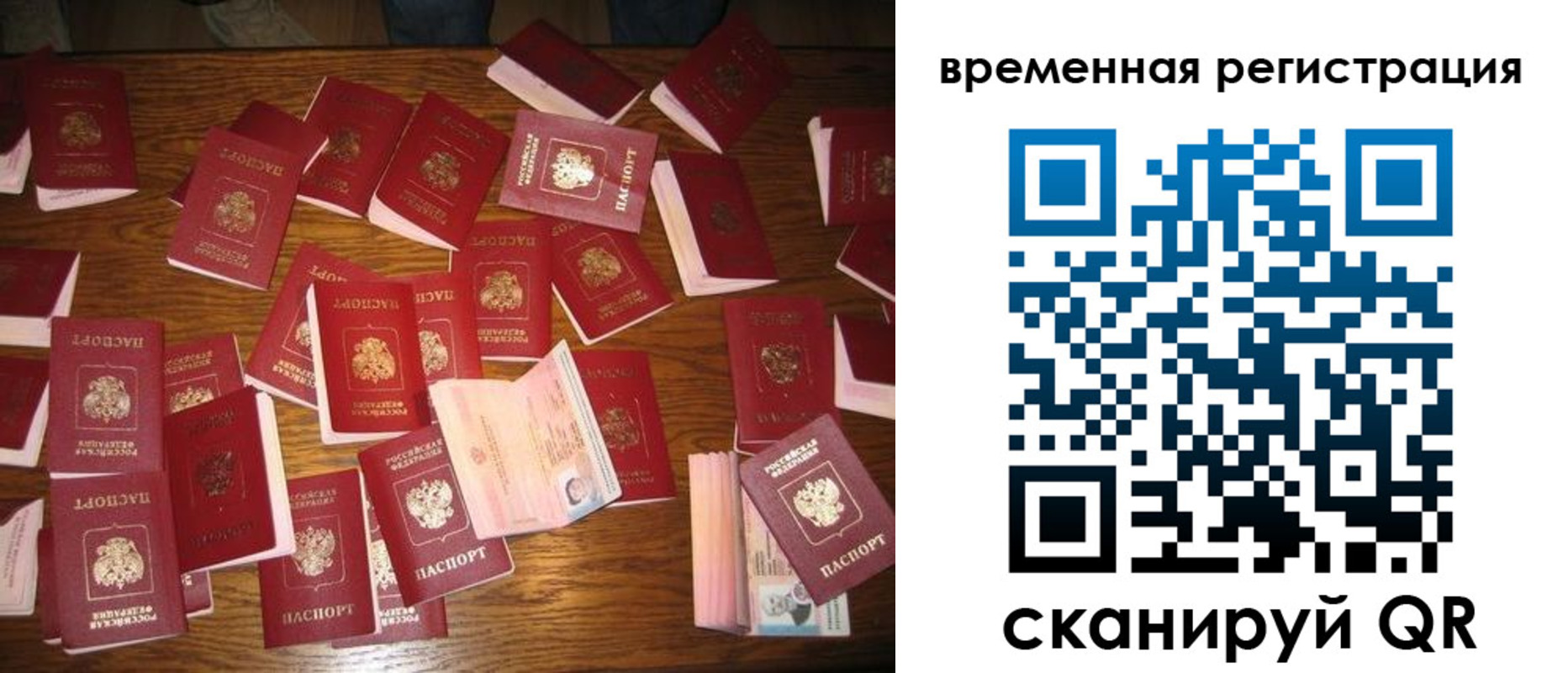 купить прописку в Камчатском крае